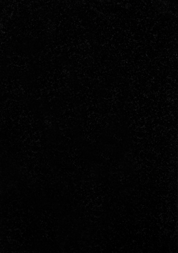 Granito Negro Absoluto